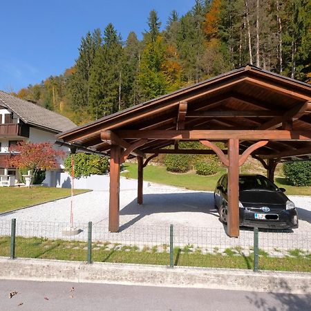 Apartamento Savadolinka House Mojstrana Exterior foto