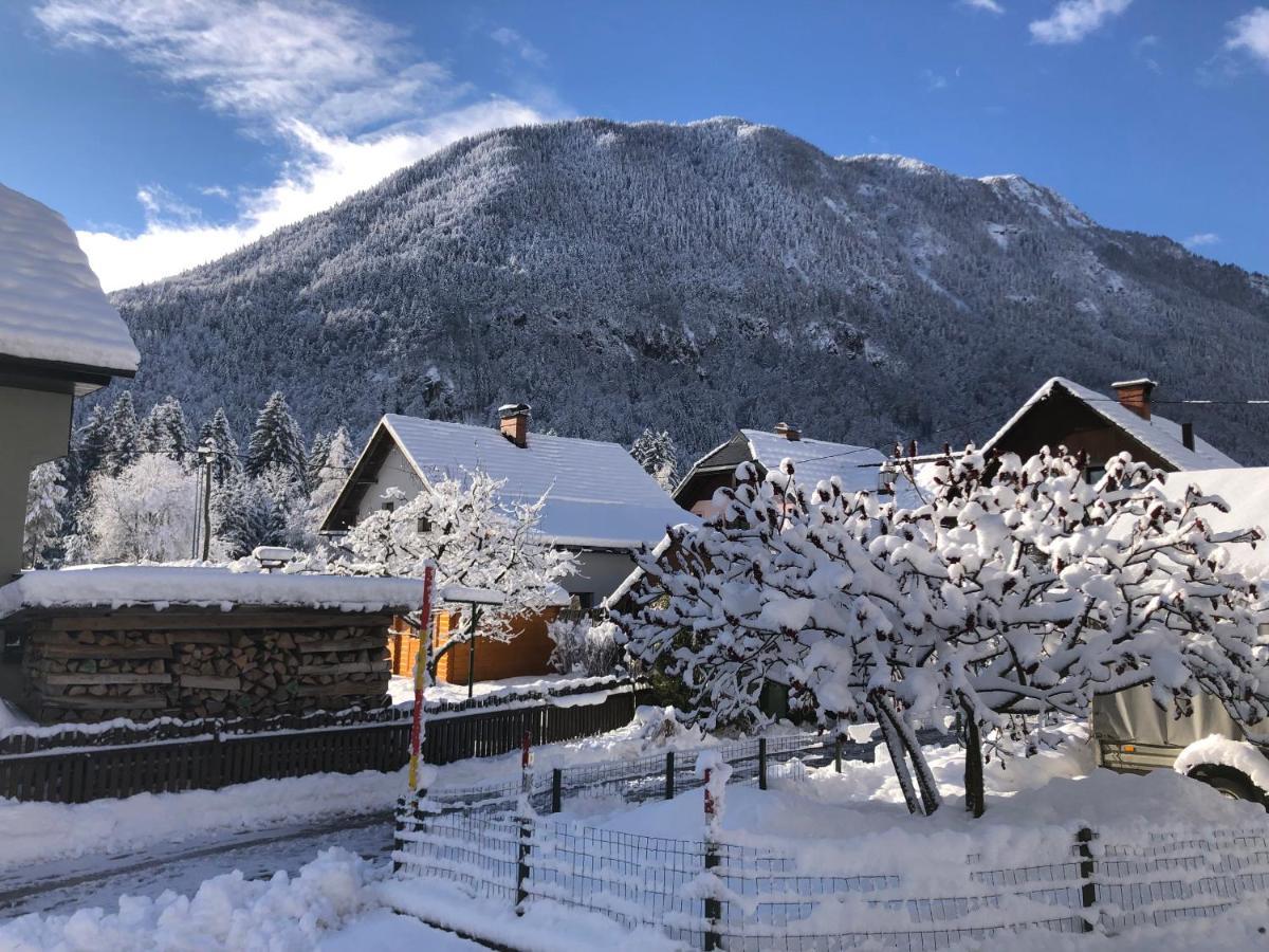 Apartamento Savadolinka House Mojstrana Exterior foto