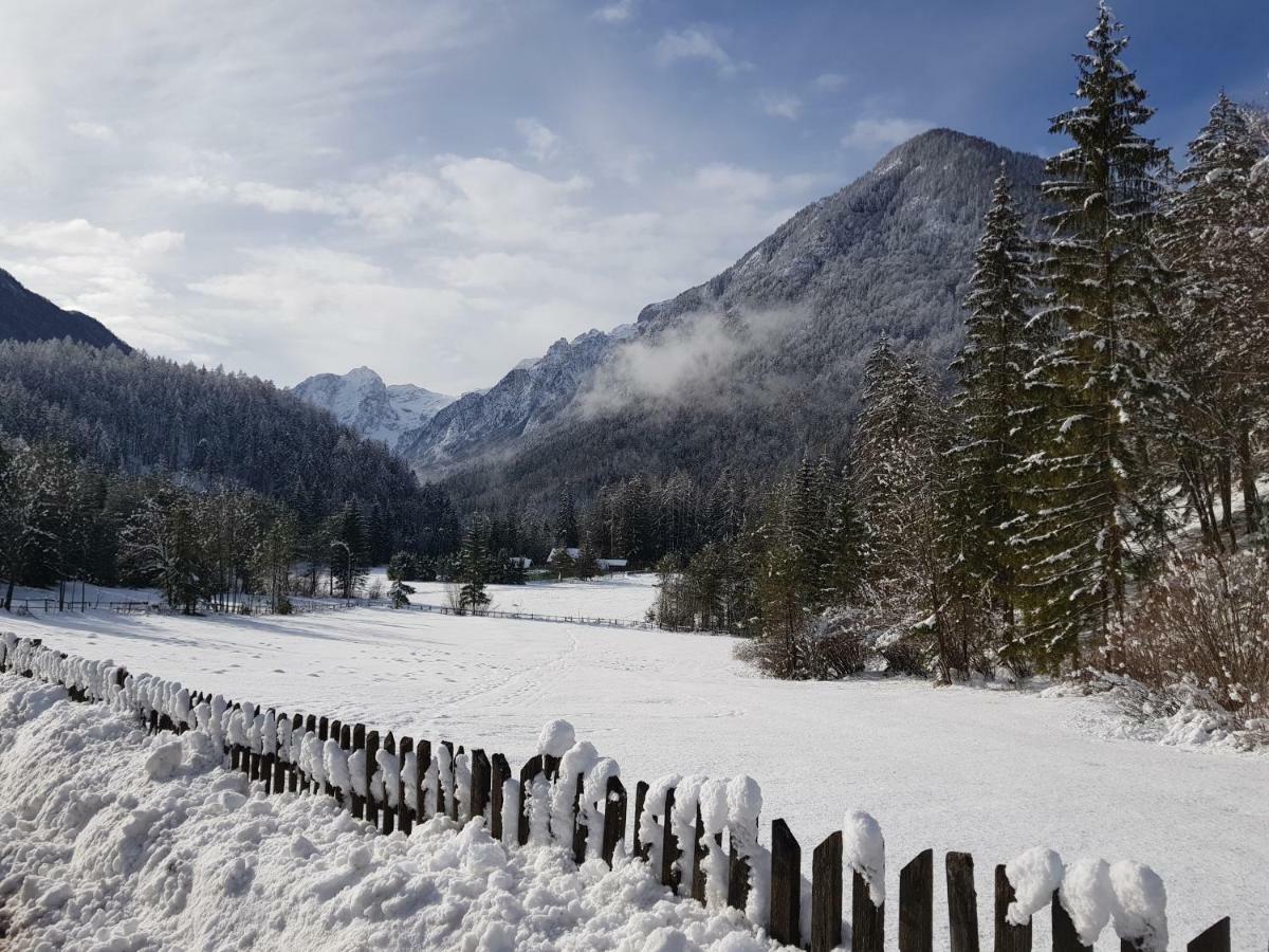 Apartamento Savadolinka House Mojstrana Exterior foto