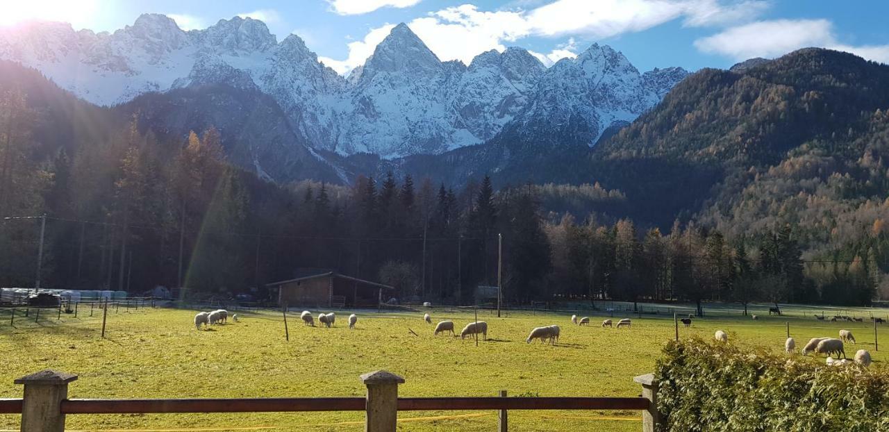 Apartamento Savadolinka House Mojstrana Exterior foto